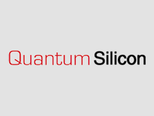 Quantum Silicon