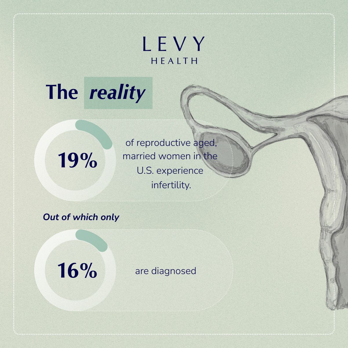 Levy Health
